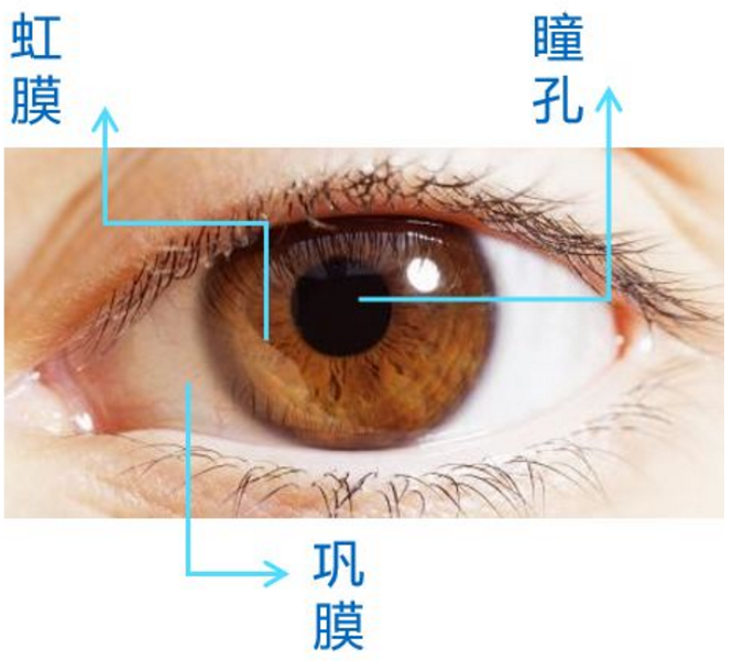 1581995584869629.png 1581995584869629.png